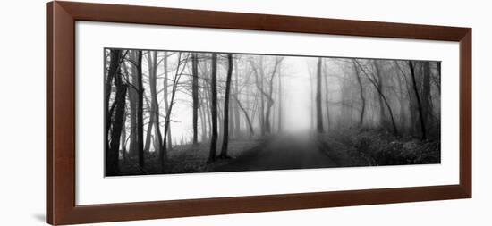 Woodland Walk-Erin Clark-Framed Art Print