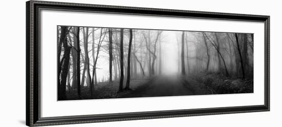 Woodland Walk-Erin Clark-Framed Art Print