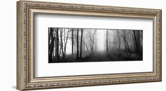 Woodland Walk-Erin Clark-Framed Giclee Print