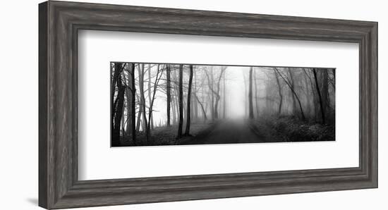 Woodland Walk-Erin Clark-Framed Giclee Print