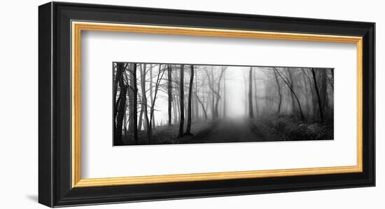 Woodland Walk-Erin Clark-Framed Giclee Print