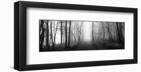 Woodland Walk-Erin Clark-Framed Giclee Print