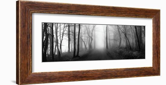 Woodland Walk-Erin Clark-Framed Giclee Print