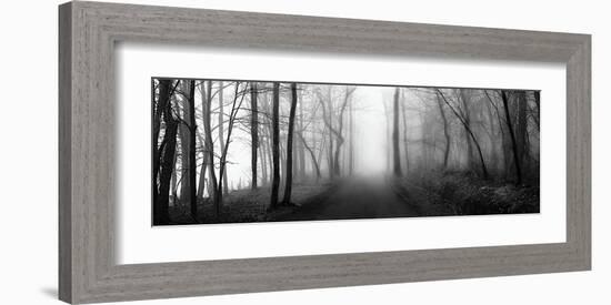 Woodland Walk-Erin Clark-Framed Giclee Print