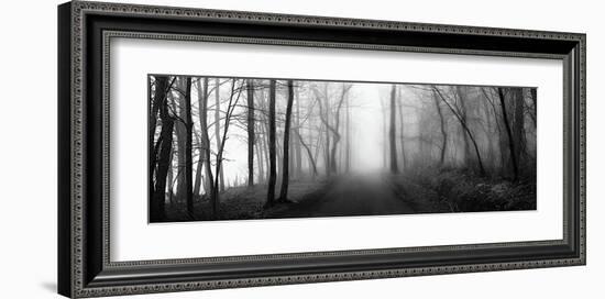 Woodland Walk-Erin Clark-Framed Giclee Print