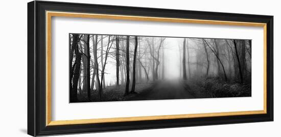 Woodland Walk-Erin Clark-Framed Giclee Print