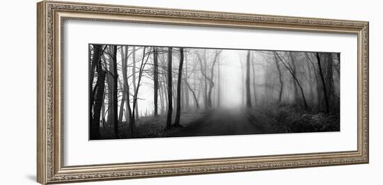 Woodland Walk-Erin Clark-Framed Giclee Print