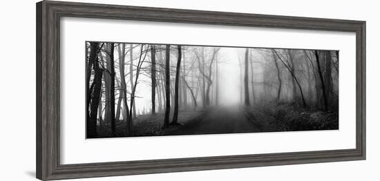 Woodland Walk-Erin Clark-Framed Giclee Print