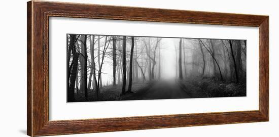 Woodland Walk-Erin Clark-Framed Giclee Print