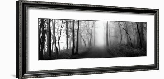 Woodland Walk-Erin Clark-Framed Giclee Print