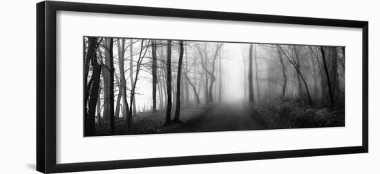 Woodland Walk-Erin Clark-Framed Giclee Print