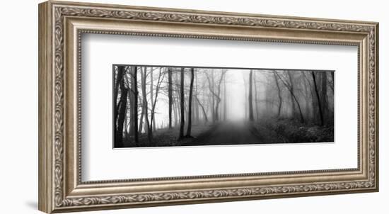 Woodland Walk-Erin Clark-Framed Art Print