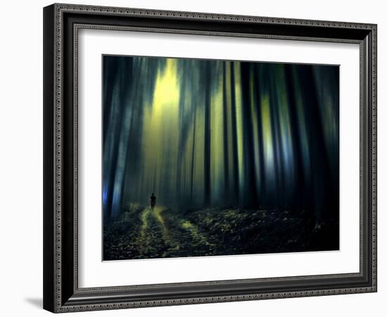 Woodland Walk-Josh Adamski-Framed Photographic Print