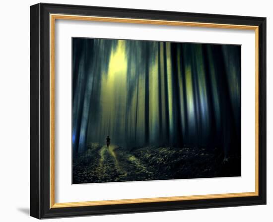 Woodland Walk-Josh Adamski-Framed Photographic Print