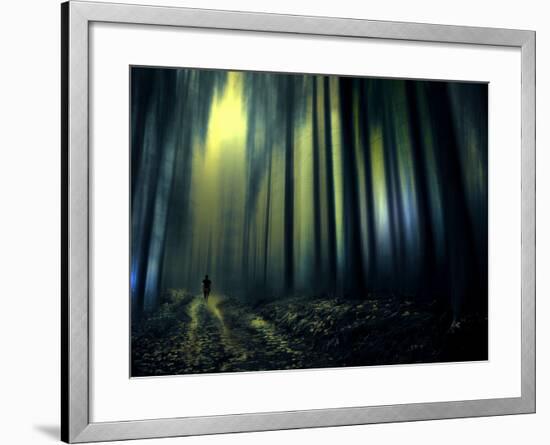 Woodland Walk-Josh Adamski-Framed Photographic Print