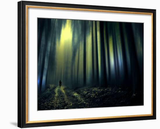 Woodland Walk-Josh Adamski-Framed Photographic Print