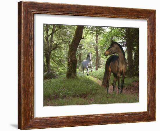 Woodland Walk-Bob Langrish-Framed Photographic Print