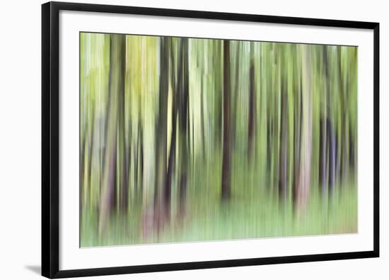 Woodland Whirl-Lee Frost-Framed Giclee Print