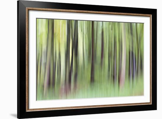 Woodland Whirl-Lee Frost-Framed Giclee Print