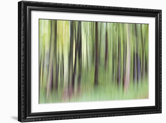 Woodland Whirl-Lee Frost-Framed Giclee Print