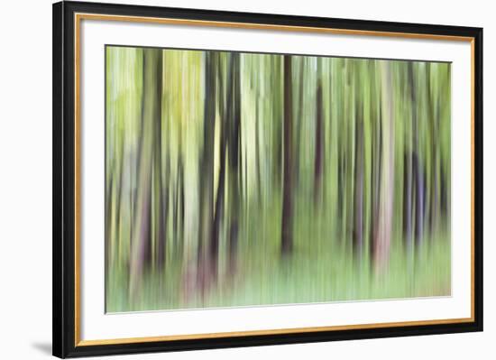 Woodland Whirl-Lee Frost-Framed Giclee Print