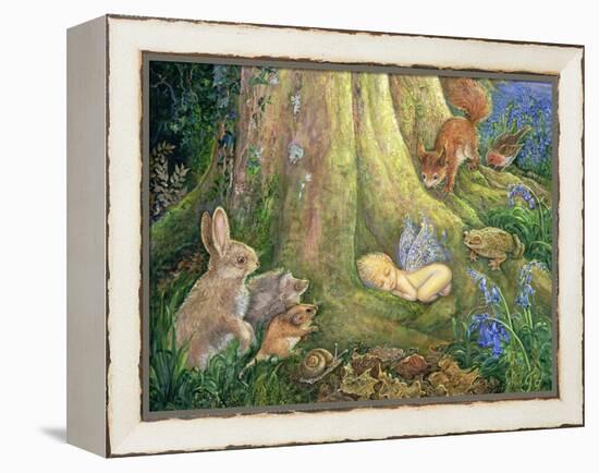 Woodland Wonder-Josephine Wall-Framed Premier Image Canvas