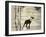 Woodland-The Saturday Evening Post-Framed Giclee Print