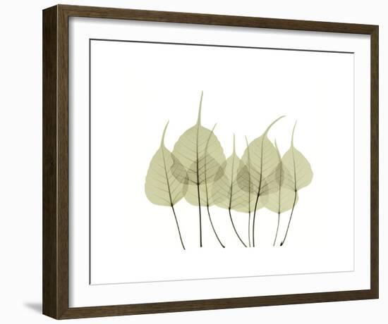 Woodlands I-Acee-Framed Giclee Print