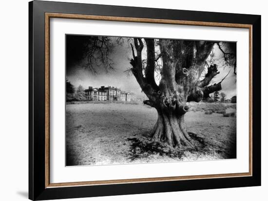 Woodlawn House, County Galway, Ireland-Simon Marsden-Framed Giclee Print