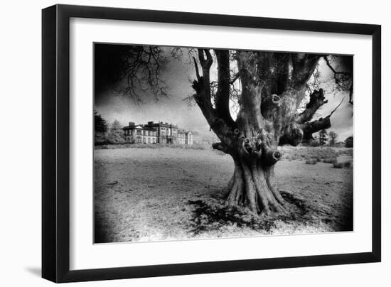 Woodlawn House, County Galway, Ireland-Simon Marsden-Framed Giclee Print