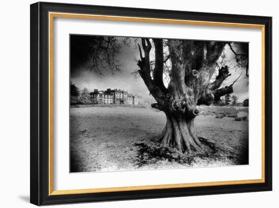 Woodlawn House, County Galway, Ireland-Simon Marsden-Framed Giclee Print