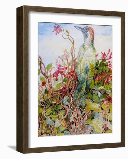 Woodpecker in the Honeysuckle, 2010-Joan Thewsey-Framed Giclee Print