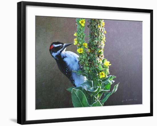 Woodpecker Mullen-Chris Vest-Framed Art Print