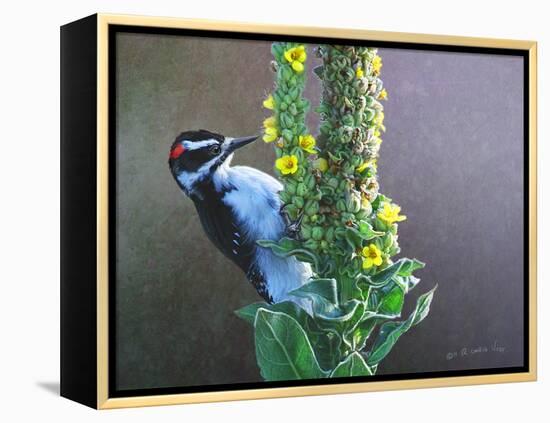 Woodpecker Mullen-Chris Vest-Framed Stretched Canvas