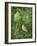 Woodpecker, Owl and Thrush-Birgitte Hendil-Framed Giclee Print