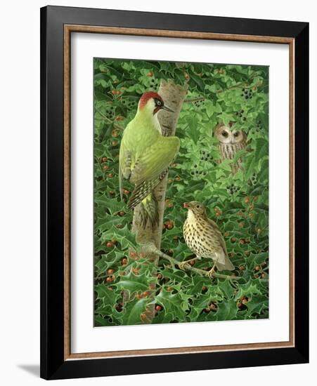 Woodpecker, Owl and Thrush-Birgitte Hendil-Framed Giclee Print