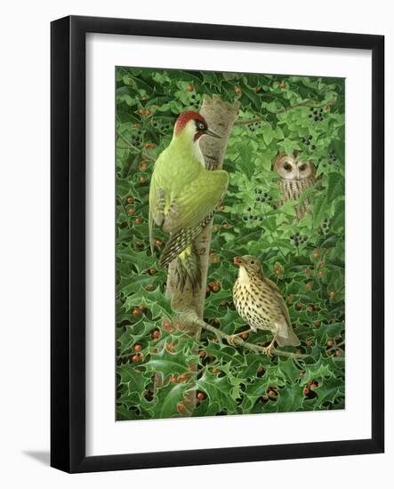 Woodpecker, Owl and Thrush-Birgitte Hendil-Framed Giclee Print