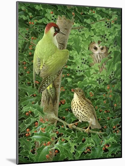 Woodpecker, Owl and Thrush-Birgitte Hendil-Mounted Giclee Print