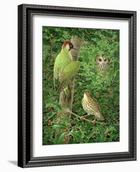 Woodpecker, Owl and Thrush-Birgitte Hendil-Framed Giclee Print