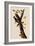 Woodpeckers-John James Audubon-Framed Giclee Print