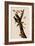 Woodpeckers-John James Audubon-Framed Giclee Print