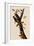 Woodpeckers-John James Audubon-Framed Giclee Print