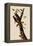 Woodpeckers-John James Audubon-Framed Premier Image Canvas