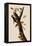 Woodpeckers-John James Audubon-Framed Premier Image Canvas