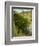 Woodpile in Landscape-Vittorio Matteo Corcos-Framed Giclee Print