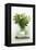 Woodruff in a Glass of Water-Marc O^ Finley-Framed Premier Image Canvas