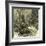 Woods Austria 1891-null-Framed Giclee Print