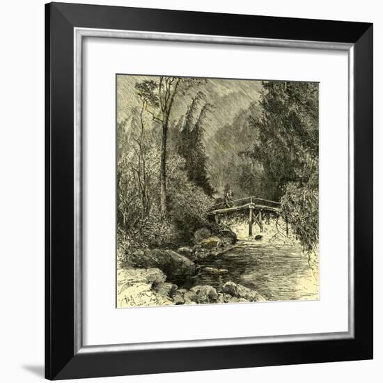 Woods Austria 1891-null-Framed Giclee Print