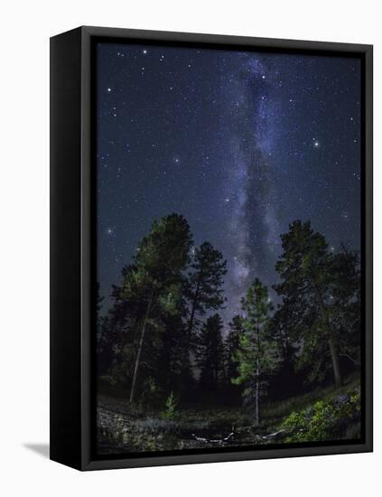 Woods in Bryce Canyon National Park at Night-Jon Hicks-Framed Premier Image Canvas