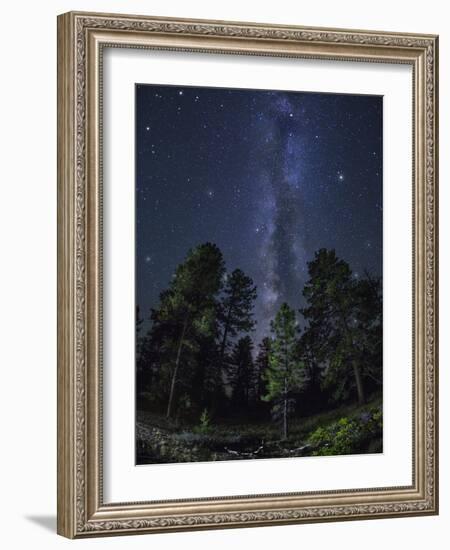 Woods in Bryce Canyon National Park at Night-Jon Hicks-Framed Photographic Print